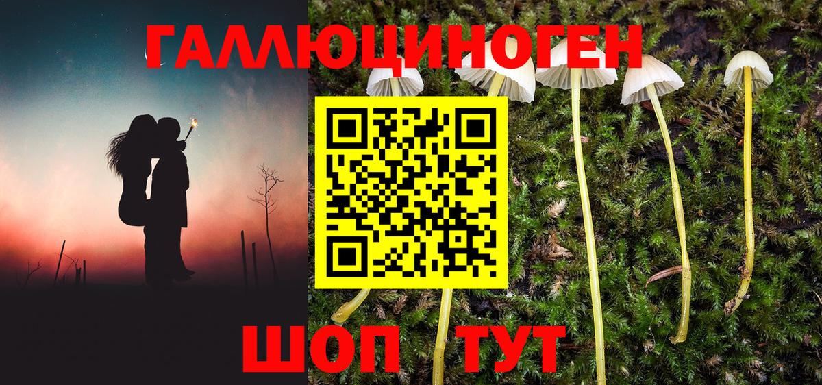 МЕФ Кашира