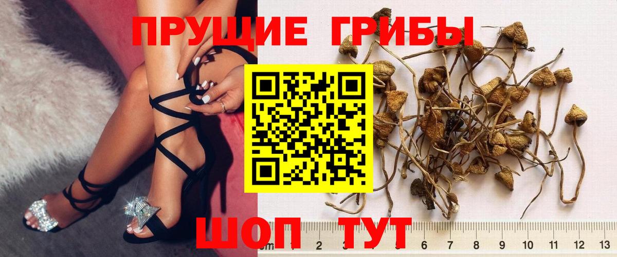 Кашира  Галлюциногенные грибы мухоморы  Вход с VPN 