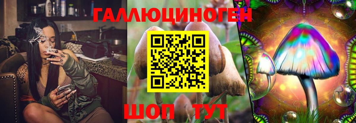Галлюциногенные грибы GOLDEN TEACHER Кашира